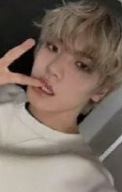 el签售5 线下ver.