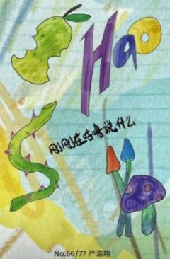 冠岁单人款自拍卡6 ver.A-资料图