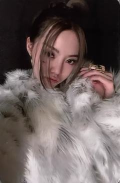 mw亲签  预售 贝