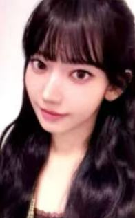 el预售 樱 单封ver.