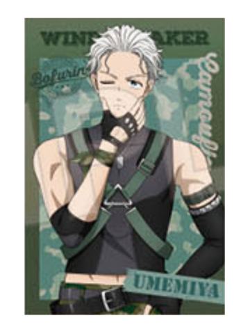 梅宫一-Tree Village快闪明信片套装