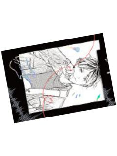 鹿岛柊B-三月兽快闪拍立得小卡