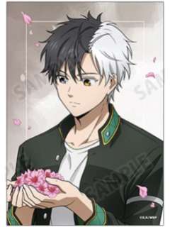 樱遥-AGF2025 春季步伐相卡