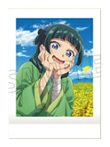 猫猫1-movic拍立得