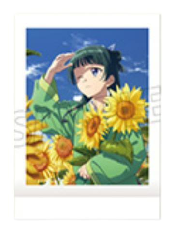 猫猫3-movic拍立得