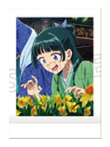 猫猫6-movic拍立得