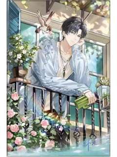 林致(色纸)-林致2025生日纪念周边