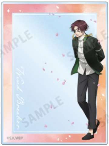 苏枋隼飞-AGF2025 春季步伐亚克力卡