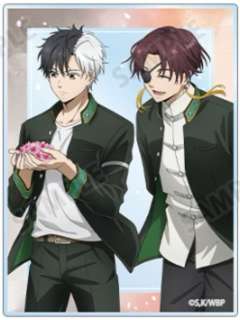 樱遥＆苏枋隼飞-AGF2025 春季步伐亚克力卡