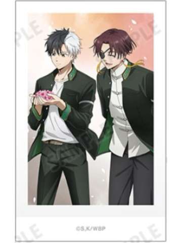 樱遥＆苏枋隼飞-AGF2025 春季步伐拍立得