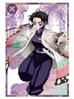 蝴蝶忍特典透卡-钝感光波快闪系列