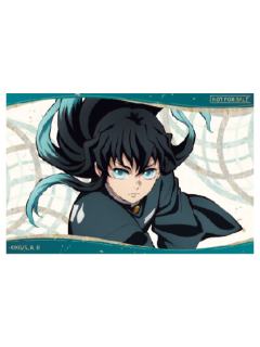 时透无一郎特典贴纸-钝感光波快闪系列