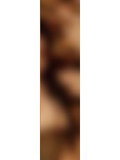 经典版卡包官拍卡 ver.5