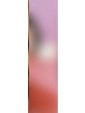 经典版卡包官拍卡 ver.6