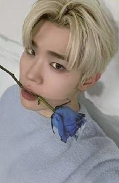 三期会员礼6 ver.A