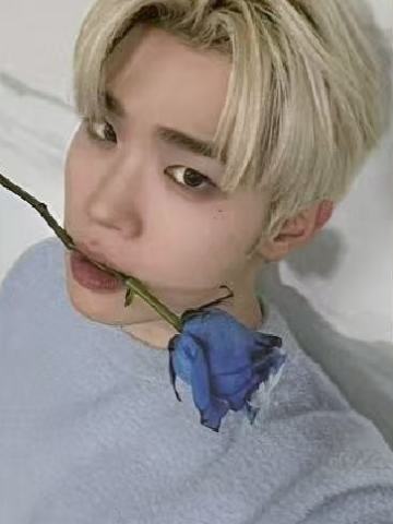 三期会员礼6 ver.A