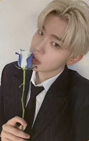 三期会员礼6 ver.B