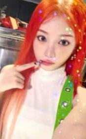 日咖预售 采 单封ver.