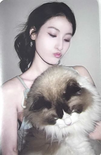 q音星光卡碎片限定卡