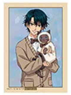 越前龙马-B赏小卡