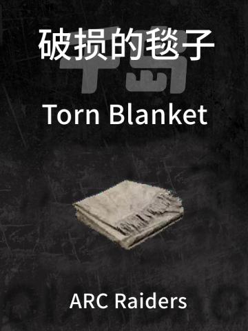 破损的毯子