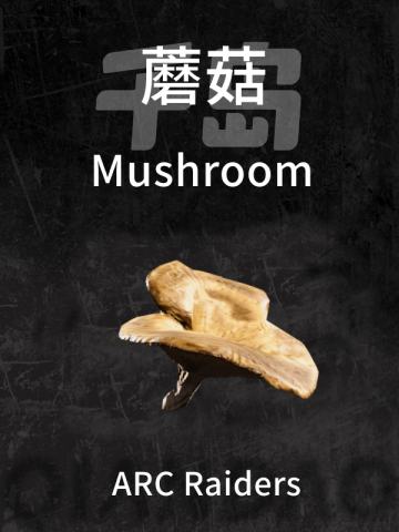 蘑菇