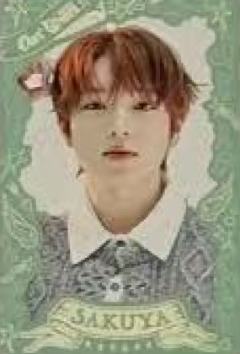 首尔场随机卡6 官拍ver.