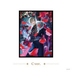 魔界-生日快乐葛叶卡套