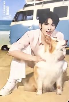 拉面范代言卡3.0 ver.B