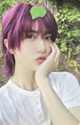 Grape Ccrew版专卡5