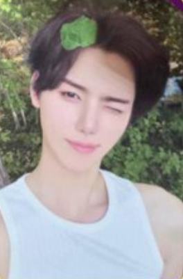 Grape Ccrew版专卡6