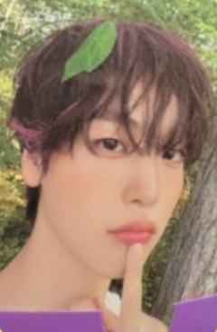 Grape Ccrew版专卡7