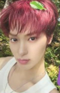 Grape Ccrew版专卡8