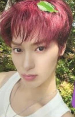 Grape Ccrew版专卡8