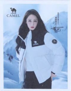 骆驼代言撕拉片 ver.A