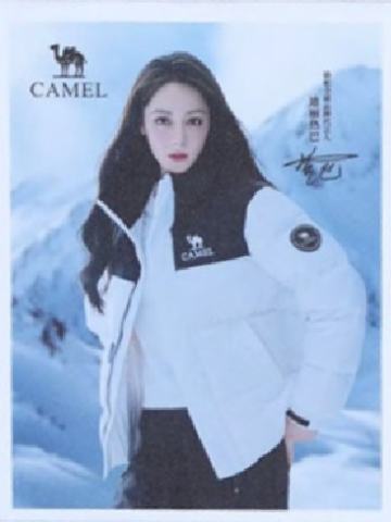 骆驼代言撕拉片 ver.A