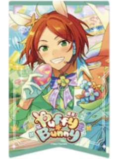 葵日向透卡-绯梦挂旗系列