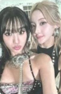 日本快闪随机卡23