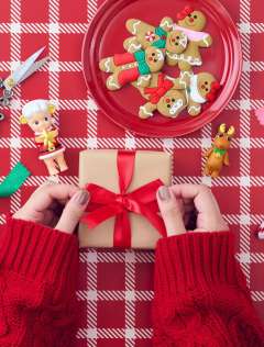 隐藏-圣诞老人绵羊-资料图