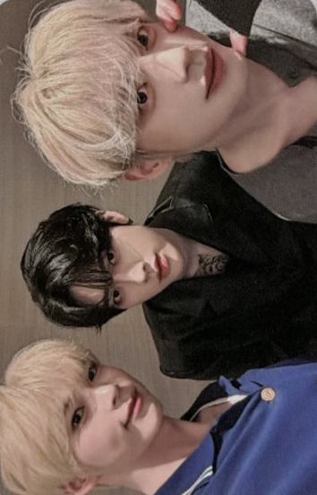 muvve泰签中签卡248