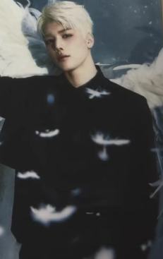 快闪随机卡9 ver.B