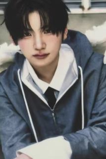 快闪随机卡5 ver.B