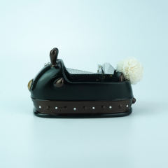 黑天鹅车-资料图