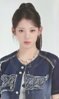 日本fc随机卡 茶 ver.A