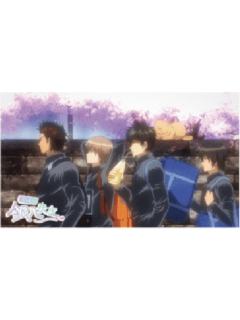 多人A明信片套组-3年Z班银八老师快闪预习篇