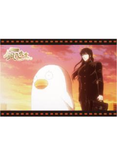 桂小太郎&伊丽莎白明信片套组-3年Z班银八老师快闪预习篇