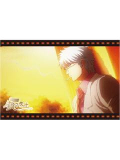 坂田银时C明信片套组-3年Z班银八老师快闪预习篇