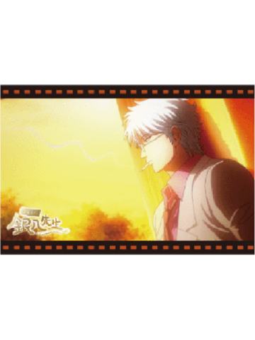 坂田银时C明信片套组-3年Z班银八老师快闪预习篇