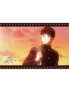 志村新八B明信片套组-3年Z班银八老师快闪预习篇