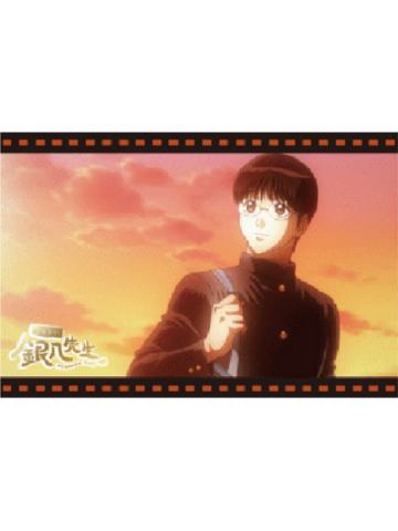 志村新八B明信片套组-3年Z班银八老师快闪预习篇